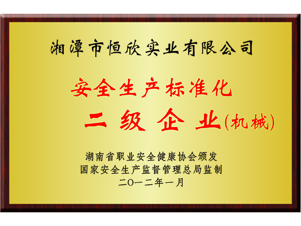 安全生產(chǎn)標準化二級企業(yè)（機械）