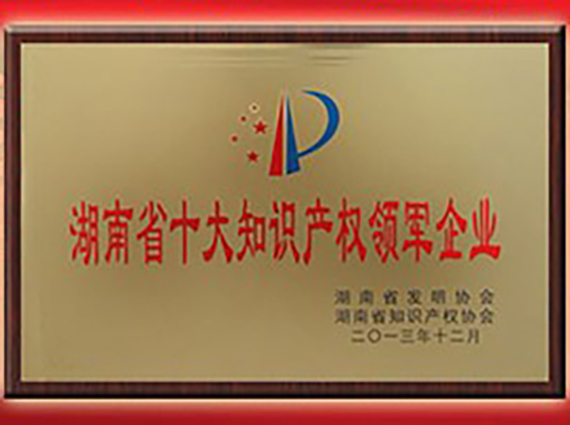 熱烈慶祝“湘潭恒欣”被評為“首屆湖南省十大知識產(chǎn)權領軍企業(yè)”