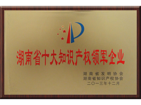 湖南省十大知識產(chǎn)權領軍企業(yè)