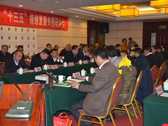 【湘潭恒欣】承辦“國(guó)家礦用單軌吊和架空乘人裝置‘十三五’規(guī)劃發(fā)展專題研討會(huì)”